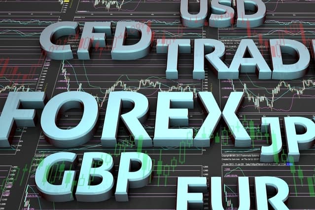 How Many Type Of Fx Trader Involved In The Market?