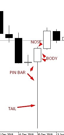 Char of Pin Bar